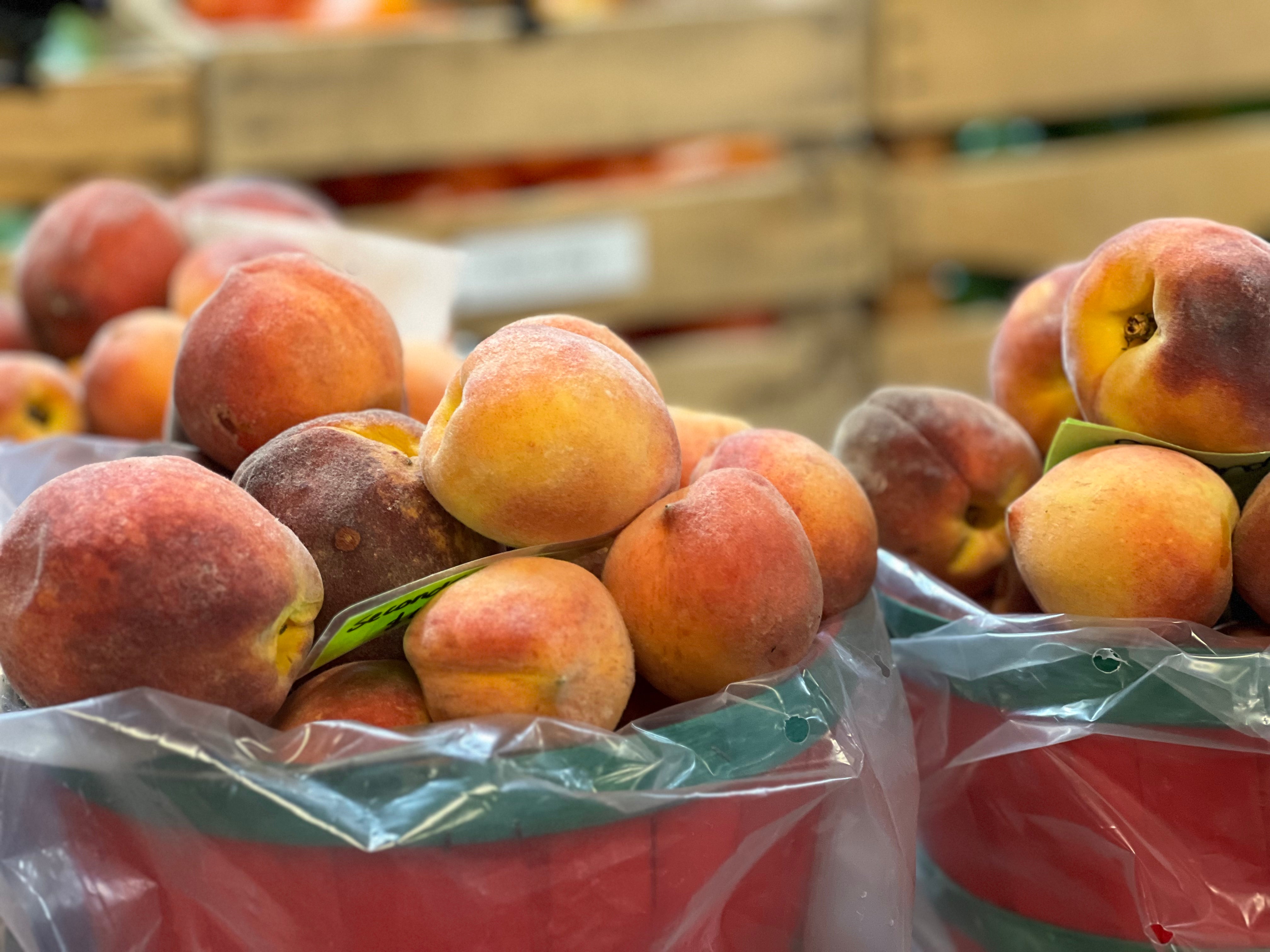 Blog #5 Peach State